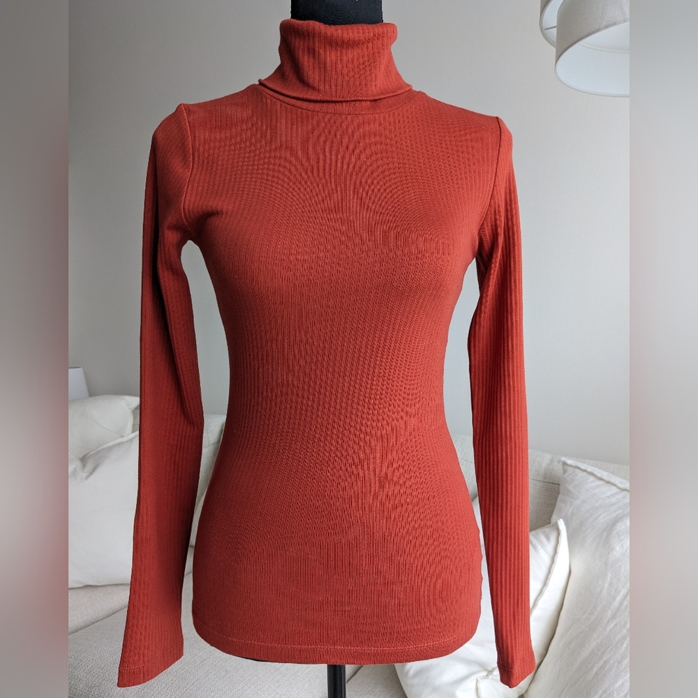 NWT Kotn Ribbed Turtleneck